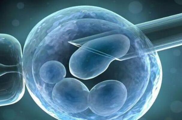 试管鲜胚移植7天后人绒毛数值太低还有着床的希望吗？
