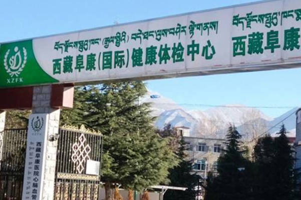 西藏阜康医院试管成功率高