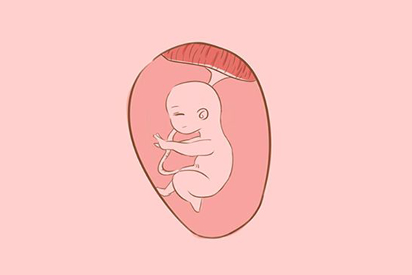 胎动一般踢左边代表是男娃