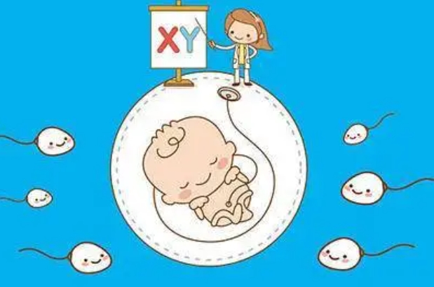 这5类夫妻最易生男孩，特别是碱性体质的