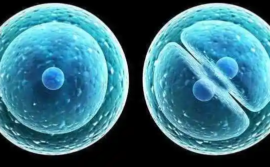 焦作市妇幼保健院没有设立精子库