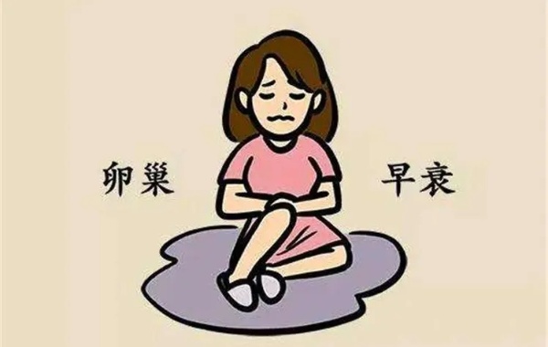 卵巢早衰主要影响的是生殖内分泌系统