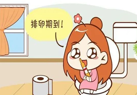 排卵期时女性体温会上升