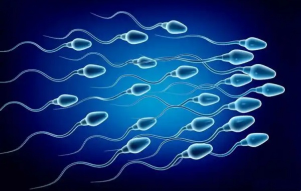 男方精子活力35%做试管第几代成功率高呢？