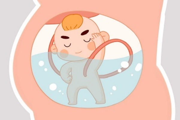 老一辈的人说备孕期间吃一种药能保证生个男孩是真的吗？
