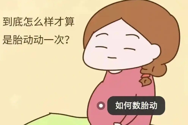 正确数胎动可以查看胎儿情况