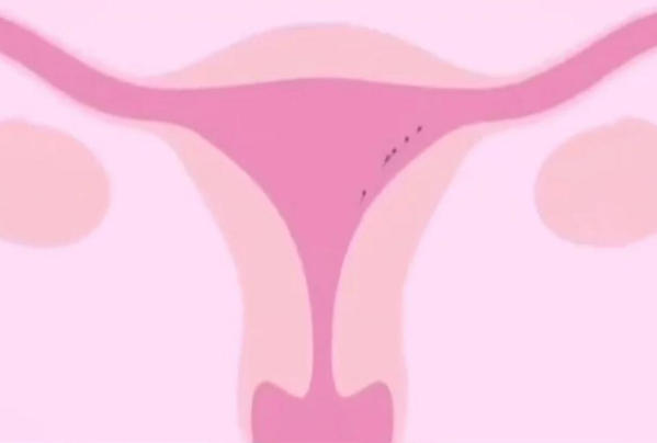 胚胎着床后可能会轻微出血