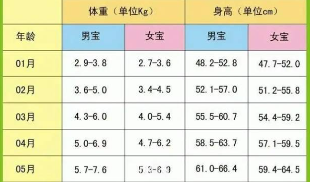 月份不同婴儿身高体重也不一样