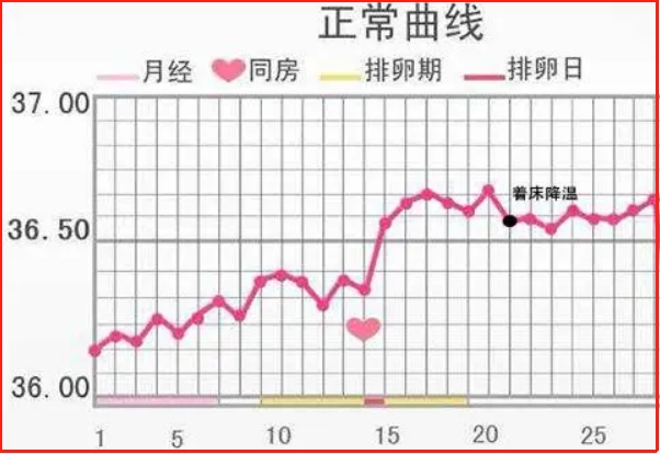 排卵后体温会明显升高