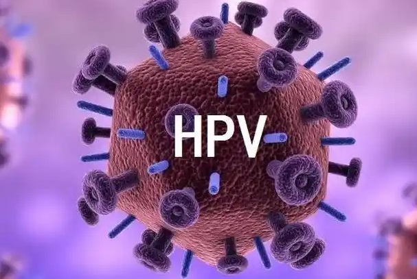 感染HPV高危型可以做供卵试管生健康孩子吗？