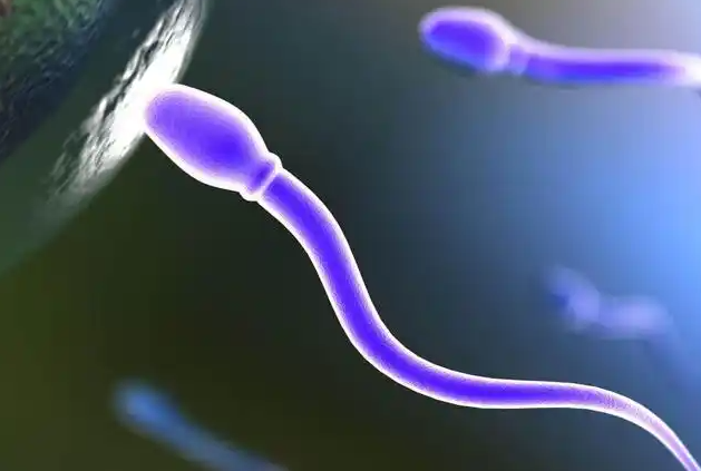 精子畸形率高做二代试管可以筛选出形态好的精子吗？