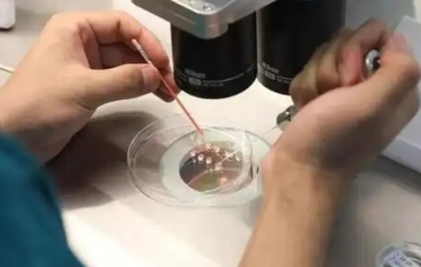 35岁女性抵抗能力差做三代试管能成功吗？
