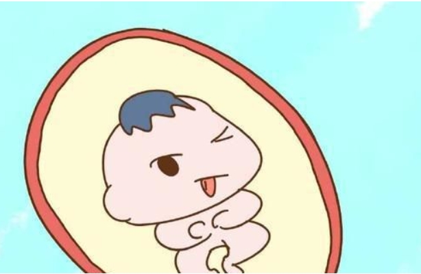 怀男宝就是容易头大腿短这种说法可信吗？