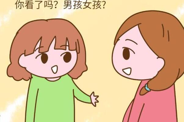 清宫表可以查看胎儿是男是女