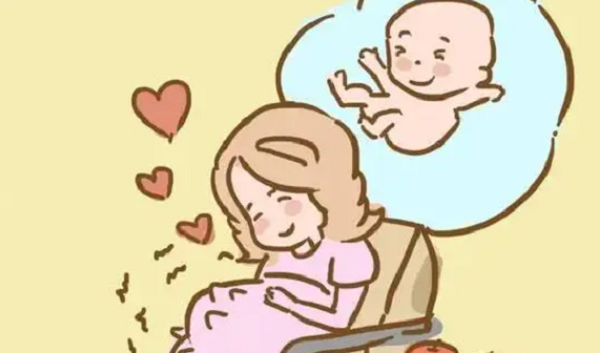 为什么说怀儿子的孕妇基本没有孕吐反应呢?