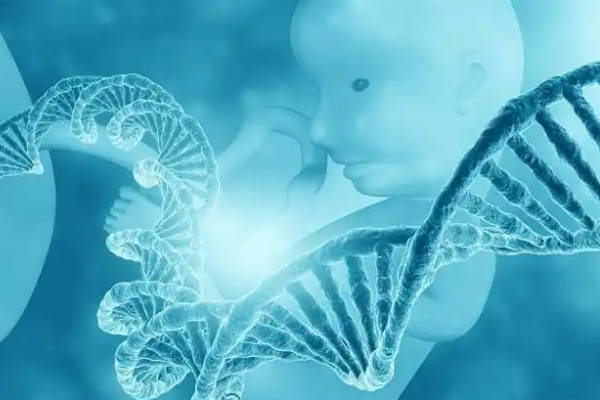 2025年国内十大第三方助孕公司！助孕公司排行榜前3名推荐这些