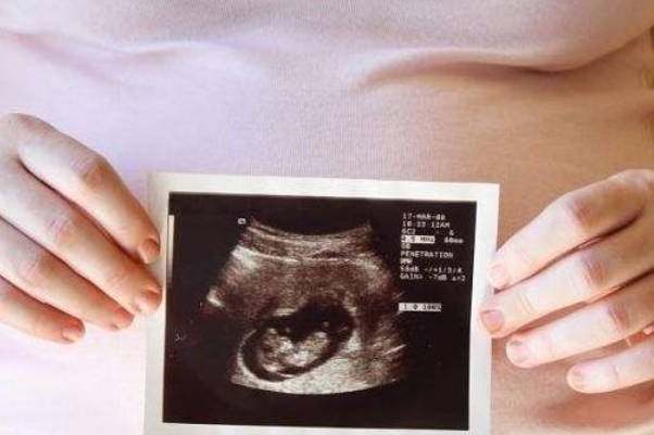 四维单子内容讲解，3秒教会准妈妈分辨是男是女