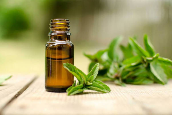 薄荷精油的功效揭秘，10种用法均不影响效果