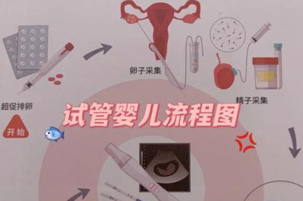 三代试管流程第一步要做全身检查