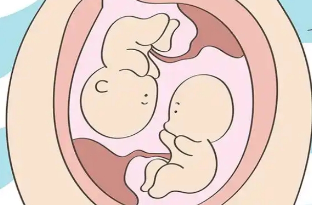 科学备孕有窍门，龙凤两个胎儿家庭养成指南
