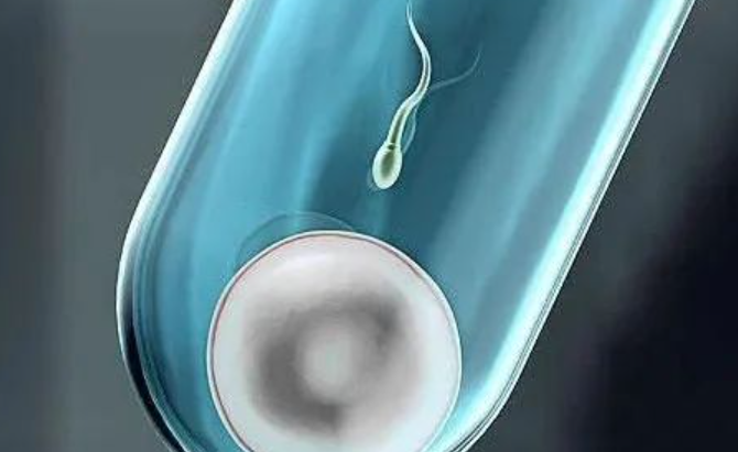 冻胚移植选择自然周期和人工周期哪个成功率高一些？