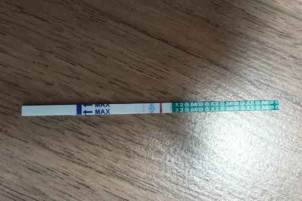 女性卵巢排卵在月经来之前14天