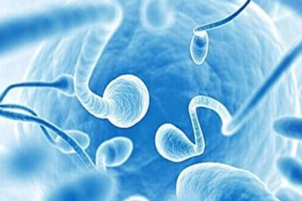精子不液化严重对做二代试管没影响