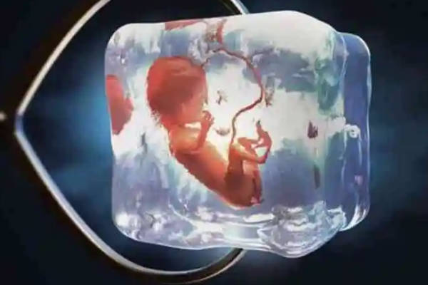试管婴儿的时候都会冷冻一些胚胎