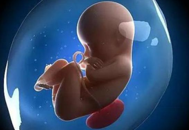 朋友备孕期间打碱性针如愿的生了个男孩请问真的有效吗？