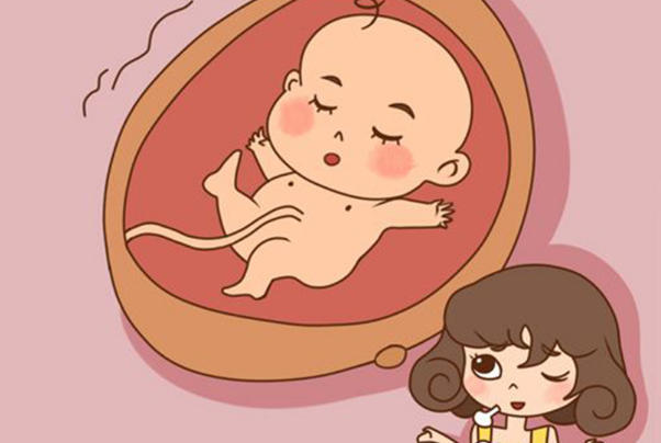 胚胎移植后第3天开始着床