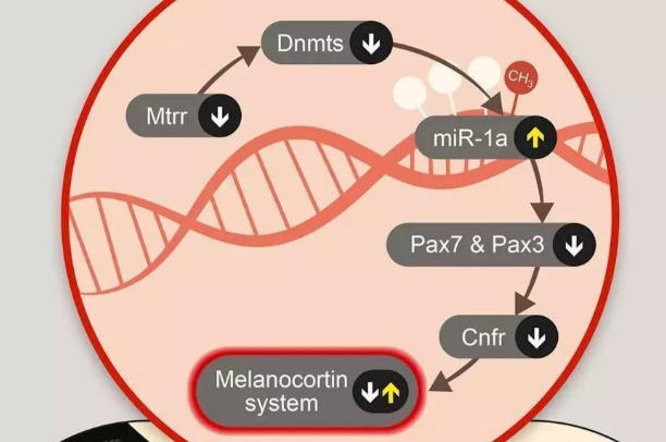 长沙三代试管机构全攻略，手把手教你选对地方