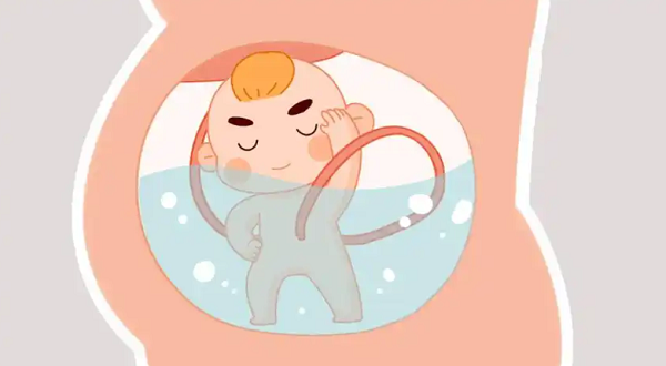 怀孕19周能用手摸到胎儿在宫腔中活动吗？