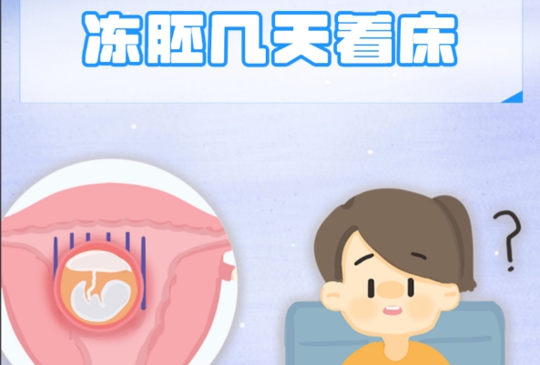 冻囊胚移植第三天还在进行着床