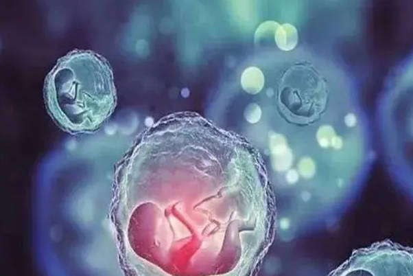 女性在移植14天后检验是否怀孕