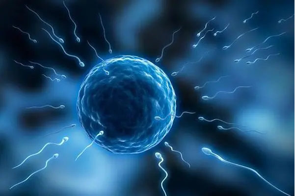 精子碎片率60怀孕可能导致流产