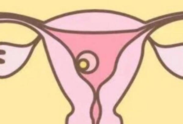 为什么医生不建议移植6细胞胚胎？这些原因你可能想不到