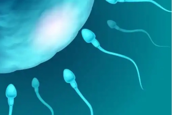 男性备孕精子要攒几天，一文了解轻松提升好孕率