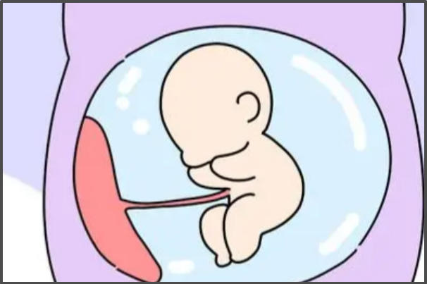 胚胎移植后一般可以短暂休息