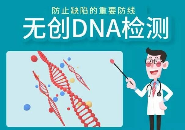 无创DNAplus比无创DNA检测项目更多