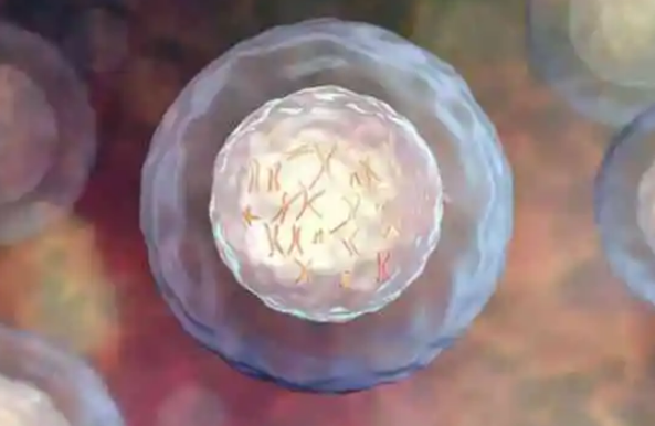 二代试管移植4bb级别囊胚多次不着床是怎么回事？