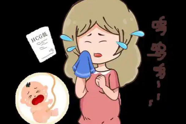hcg值可以反应胎儿发育情况