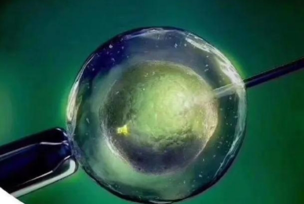 一代试管生个男孩的经验，一文了解技术原理与性别概率