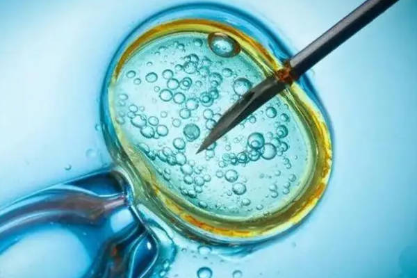2024南昌试管婴儿费用大揭秘，价格明细全在这儿！