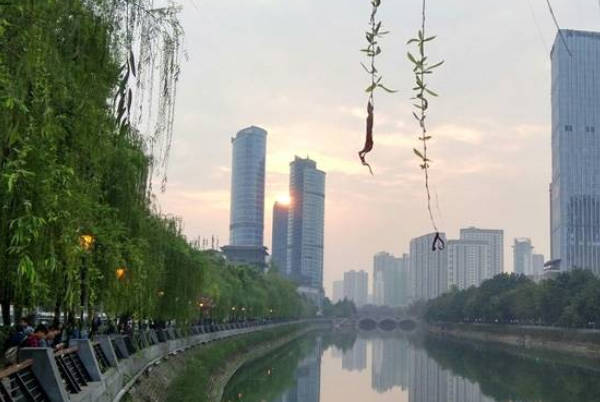 成都出生证明补办流程参考，必备材料及办理机构一览