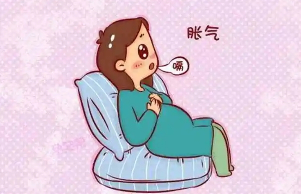 胎停育不会胀气想放屁