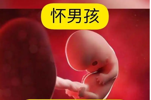 怎样备孕才能生个男孩，排卵日当天同房试试