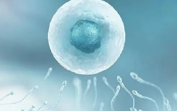 内蒙妇保院试管婴儿医生大全，好评率高的就有这几位