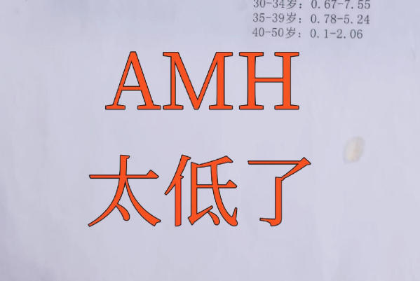 AMH值太低不利于怀孕