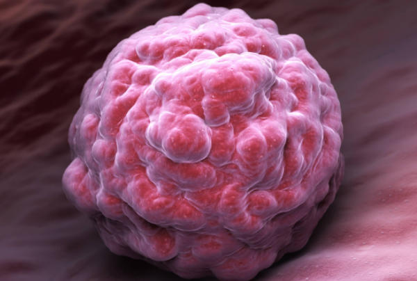 囊胚移植后胚胎1-14天变化图，从着床到妊娠确认的科学指南