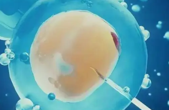 2024嘉兴办三代试管婴儿更好的民办机构预算！有两家机构